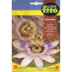 copy of SEMILLAS G-PIMIENTO MAOR