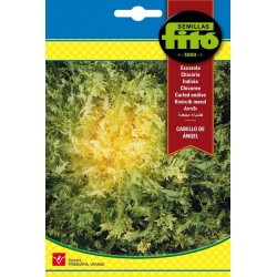 copy of SEMILLAS G-PIMIENTO MAOR