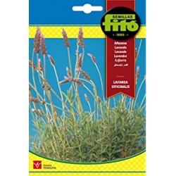 S-LAVENDER OFFICINALIS