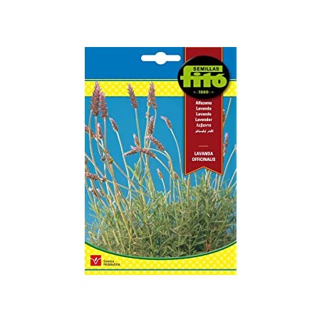 S-LAVENDER OFFICINALIS