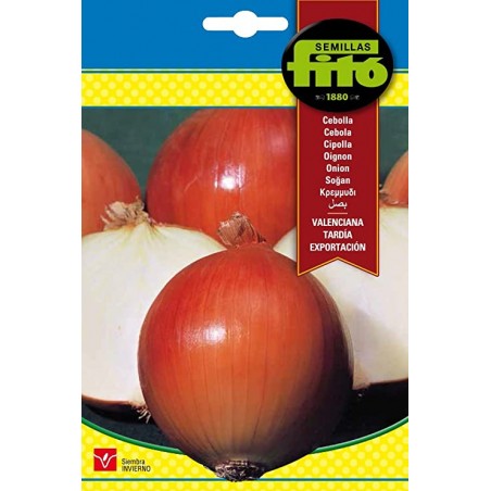 VALENCIAN S-ONION