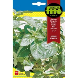 S-BASIL GIANT GENOESE