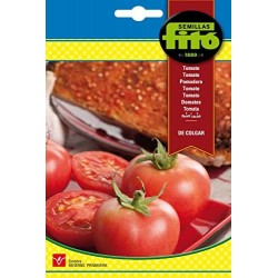 copy of SEMILLAS G-PIMIENTO MAOR