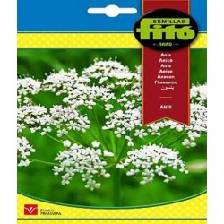 copy of SEMILLAS G-PIMIENTO MAOR