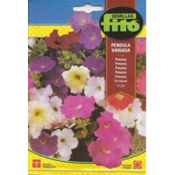 Petunia Péndula variada (Semillas) | El Huerto Deitana ®