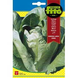 copy of SEMILLAS G-PIMIENTO MAOR