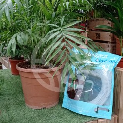 Hydrum Sistema de Auto Riego |El Huerto Deitana ®