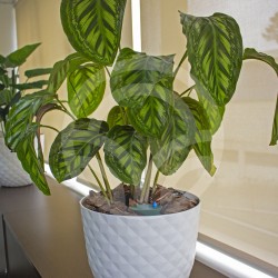 Hydrum Sistema de Auto Riego |El Huerto Deitana ®