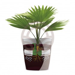 Hydrum Sistema de Auto Riego |El Huerto Deitana ®