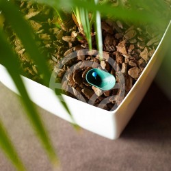 Hydrum Sistema de Auto Riego |El Huerto Deitana ®