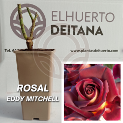 Rosal Eddy Mitchell
El Huerto Deitana ®