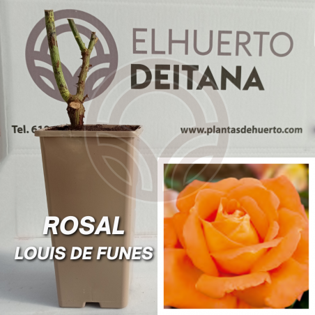 Rosal Luis de Funes
El Huerto Deitana ®