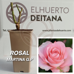 Rosal Martina
El Huerto Deitana ®