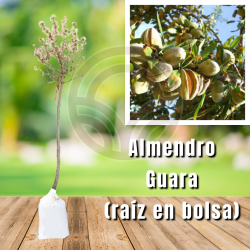 Almendro Guara (en Bolsa)
| El Huerto Deitana ®