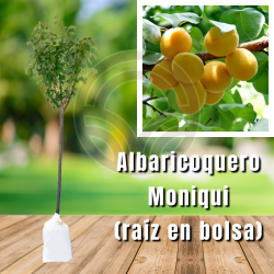 Albaricoquero Moniqui (en Bolsa)
| El Huerto Deitana ®
