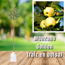 Manzano Golden (en Bolsa)
| El Huerto Deitana ®