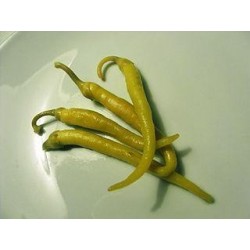 GUINDILLA PEQUEÑA AMARILLA VASCA