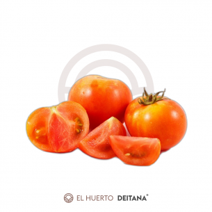 Pack 104 uds. PLANTAS DE TOMATE OPTIMA