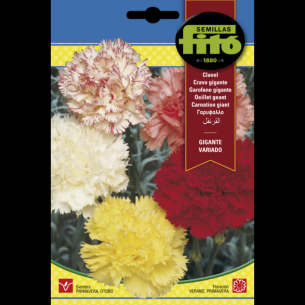 copy of SEMILLAS G-PIMIENTO MAOR