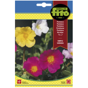 PORTULACA SIMPLE VAR. (SEMILLAS)