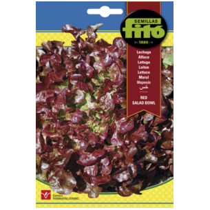 LECHUGA RED SALAD (SEMILLAS)