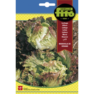 LECHUGA MARAV.VERANO (SEMILLAS)