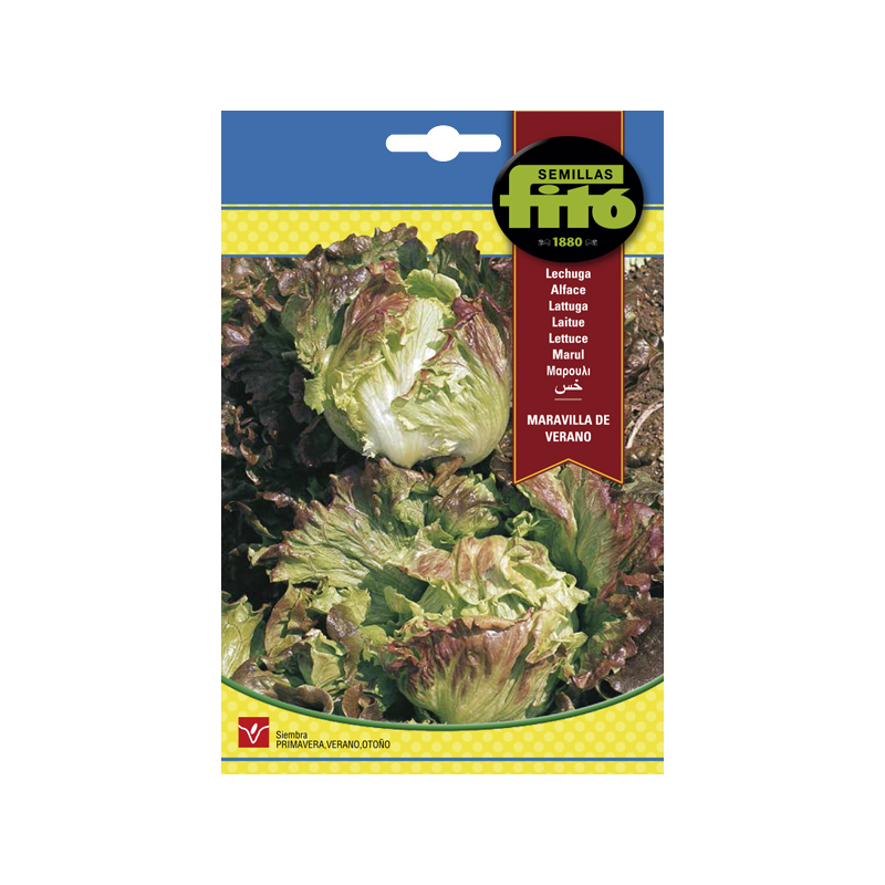 LECHUGA MARAV.VERANO (SEMILLAS) LECHUGA MARAV.VERANO (SEMILLAS)