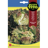 LECHUGA MARAV.VERANO (SEMILLAS)