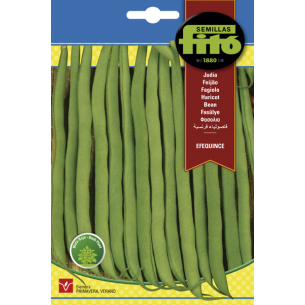 JUDIA EFEQUINCE (SEMILLAS)