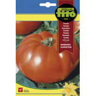 TOMATE MARMANDE CUAR