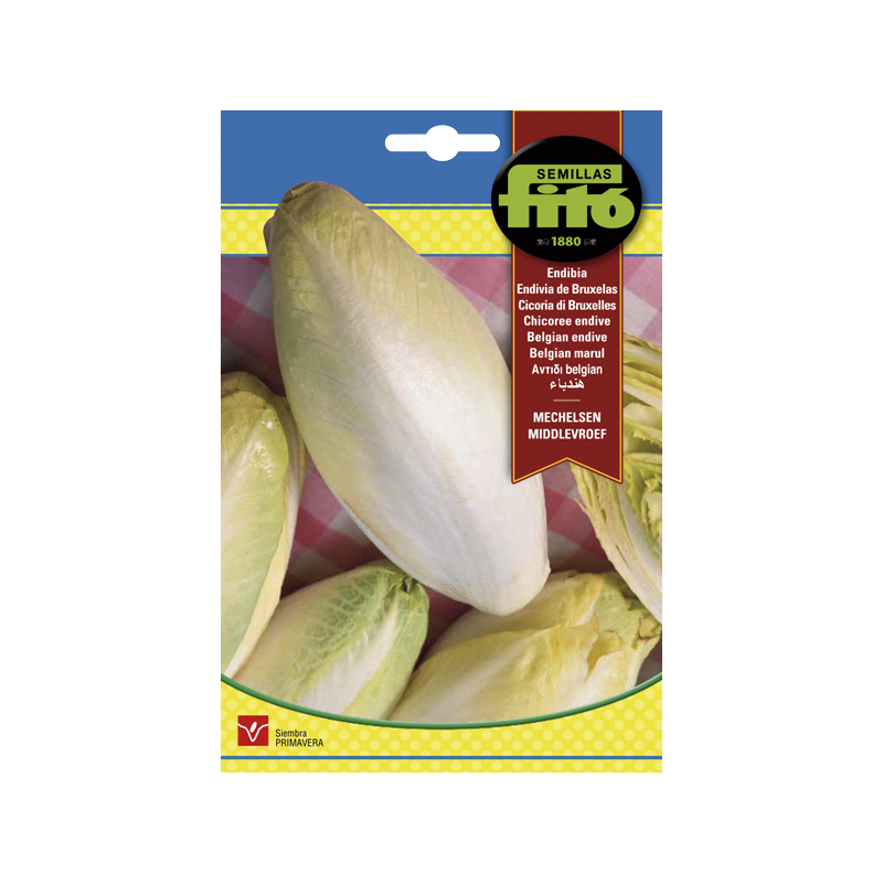 ENDIVIA (SEMILLAS) ENDIVIA (SEMILLAS)