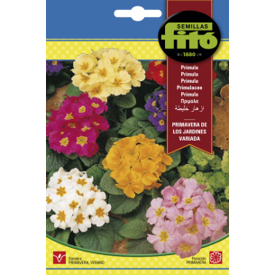 PRIMULA PRIMAVERA VARIADA (SEMILLAS)