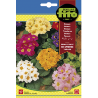 PRIMULA PRIMAVERA VARIADA (SEMILLAS)