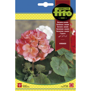 GERANIO ZOLANE VARIADO (SEMILLAS)