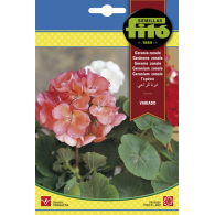 GERANIO ZOLANE VARIADO (SEMILLAS)