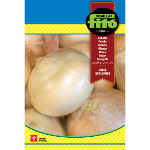 copy of SEMILLAS G-PEPINO ASHLEY