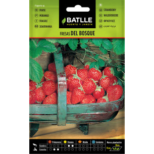 UNIVERSAL FERTILIZER 1300ML COMPO