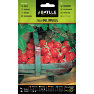 UNIVERSAL FERTILIZER 1300ML COMPO