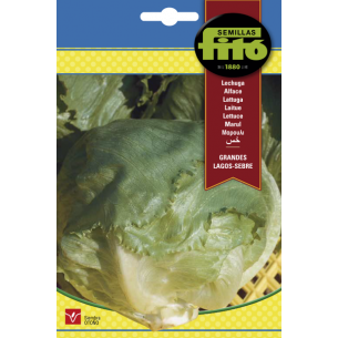 copy of SEMILLAS G-PEPINO ASHLEY