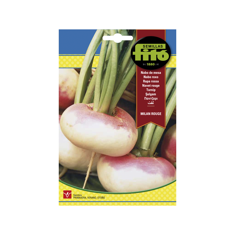 NABO ROJO MILAN ROUGE (SEMILLAS) NABO ROJO MILAN ROUGE (SEMILLAS)