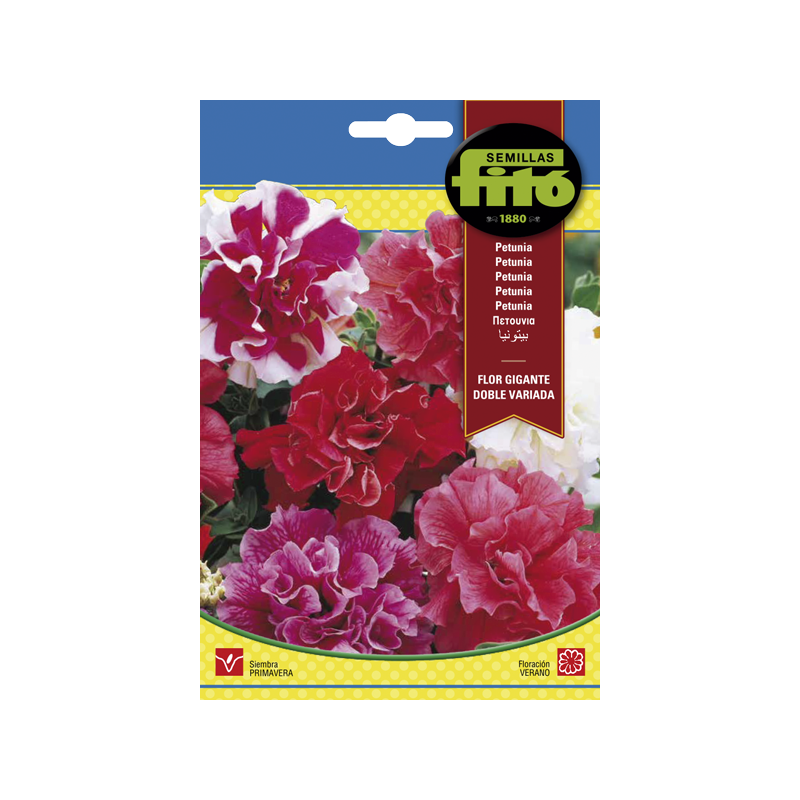 PETUNIA FLOR GIG.VAR. (SEMILLAS) PETUNIA FLOR GIG.VAR. (SEMILLAS)