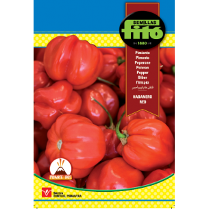 PIMIENTO HABANERO ROJO (SEMILLAS)