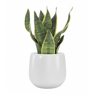 VITORIA 14CM BLANCO MACETA