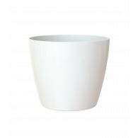 San remo 6cm blanco maceta | El Huerto Deitana ®