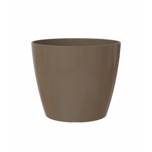 San remo 6cm maceta | El Huerto Deitana ®