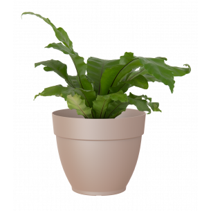 Capri campana 30cm taupe maceta | El Huerto Deitana ®