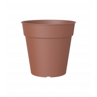 Maceta madagascar | El Huerto Deitana ®