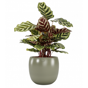 CIBELE VERDE OLIVA 29CM MACETA