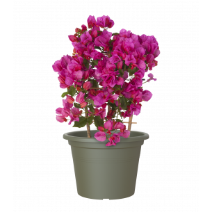 VENEZIA CILINDRO 20CM VERDE SECO MACETA