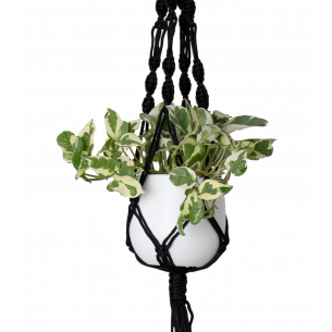 MACRAME SIMPLE NUDO ESPIRAL NEGRO 100CM